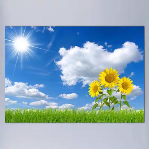 倾心助教育新人，谱写教育新蓝图——汤阴县瓦岗镇“青蓝工程”启动仪式