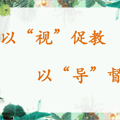 以“视”促教  以“导”督行 ——永登县新城区小学教育 教学视导活动
