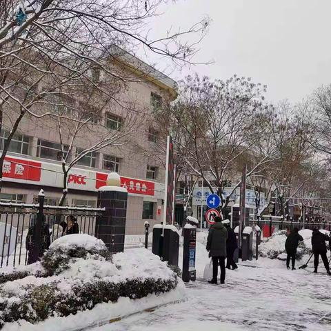 司法警察大队的美篇