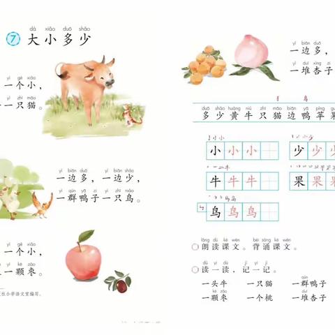 大西韩校本教研｜教心聚力绽芳华，研以登高共成长