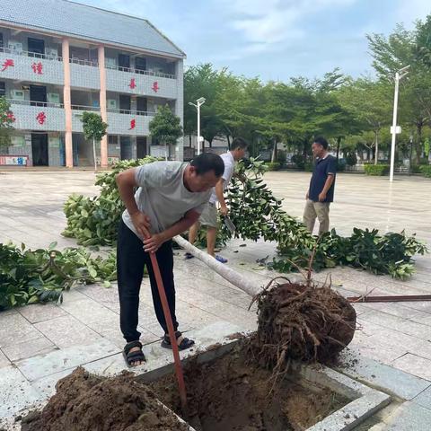 风雨共担 全力以"复"​——三亚市崖州区拱北小学进行台风灾后卫生大扫除