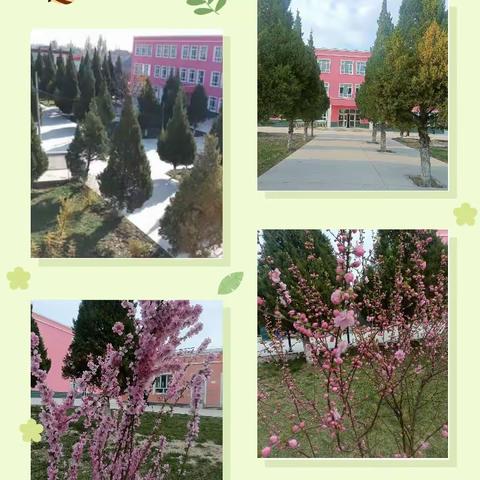 书香正浓，成长最美——伊宁县温亚尔镇 上伊地力于孜小学读书系列汇报活动