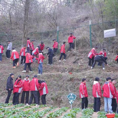 生态育人筑文明，青春担当践使命——2025年泉溪镇中心学校开展植树节主题团日活动