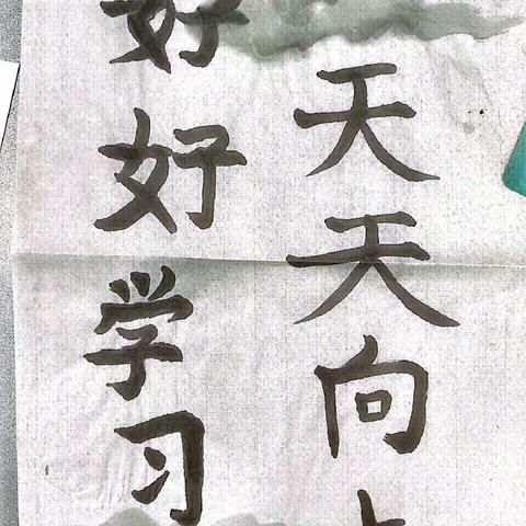 我们一起走过的练字之路——动起来