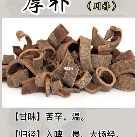 厚朴苦温，消胀泄满，痰气泻痢，其功不缓。