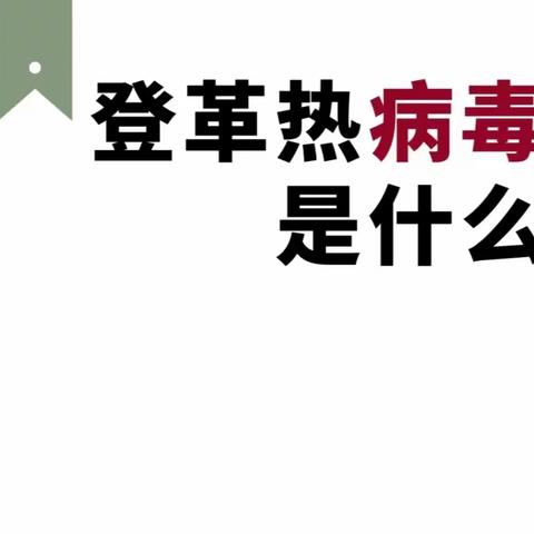 “预防登革热、红眼病我们在行动”——勐龙镇中心幼儿园曼兵分园