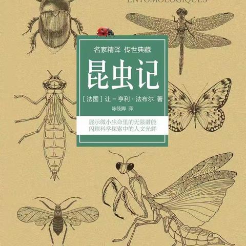 长安区杜文静“名师+”研修共同体【坊活动】之（好书分享沙龙）