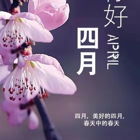 繁花似锦觅安宁的简篇