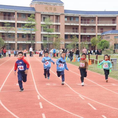 乘亚运之风，筑健康体魄——梧州市福达小学第一届体育节活动