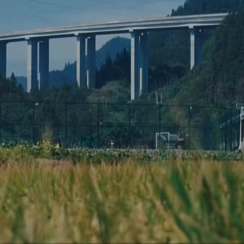 热爱可抵岁月漫长——创新班第一次优秀作文分享