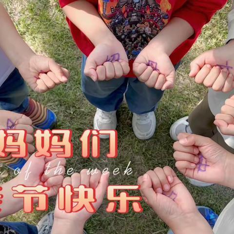 你养我长大，我陪你变老——实验小学一年级五班感恩母亲节活动