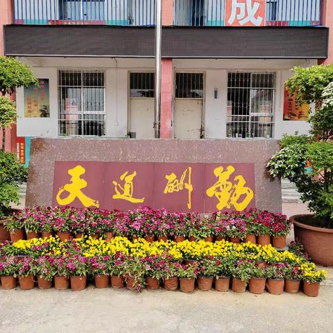 笔尖的星芒：学生诗歌小集
