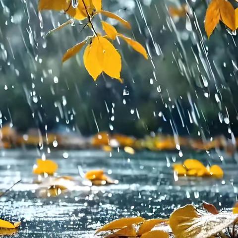秋雨淋湿了谁的心——陌陂中学九三班日记分享