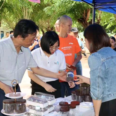 县人大常委会主任何顺劲带队到乌烈镇参加2024年昌江“白石黑米”美食文化节活动