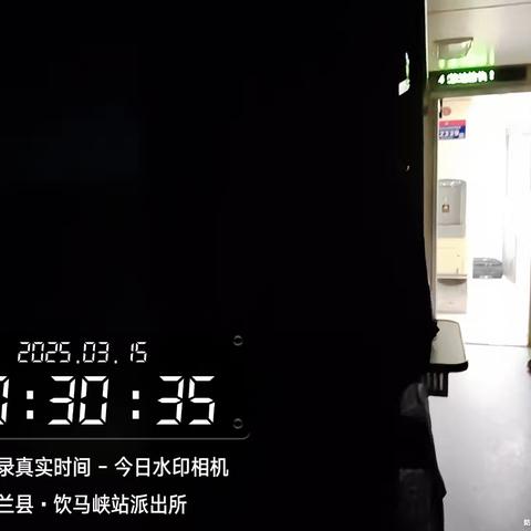 穿行在夜色中的列车