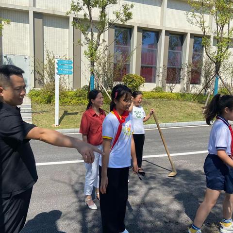 播种希望的种子，收获美好的明天——株洲市二中附三（南洲）小学六年级1801班实践活动“快乐种菜”