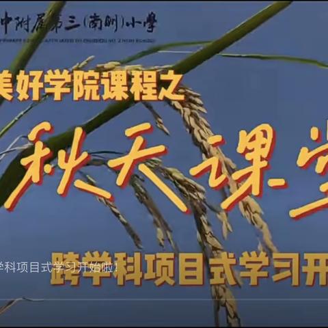 四季美好学院课程之           秋天课堂——株洲市二中附属第三南洲小学1801班