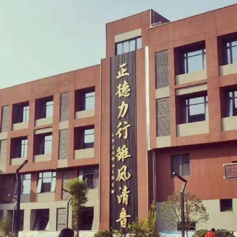 用心护学，为爱站岗——凤师小学305班护学岗美篇