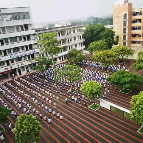金塘一中2024年秋季招聘老师