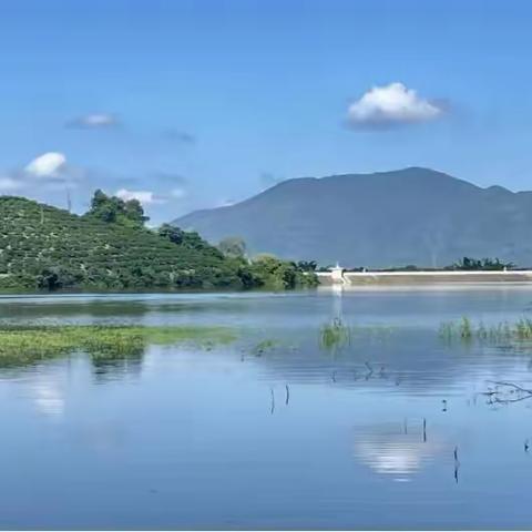 三亚市育才生态区马亮村“和美乡村”项目迎接验收简报