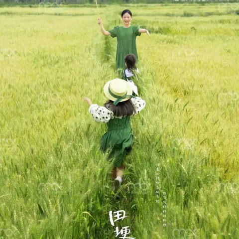 之玩转田野篇☀️一场别开生面的亲子活动 🌾🥬🫘