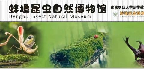 🌿【父亲节特辑】蚌埠昆虫博物馆 × 水上皮划艇 | 亲子自然探险营🔥 👨‍👧‍👦 爸爸，这次换我带你“玩”大的！