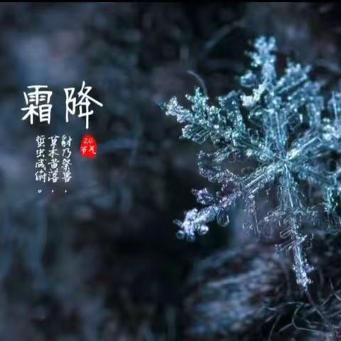 【实验二小·时序之舞】浓意深秋，冬天将至——二十四节气之霜降