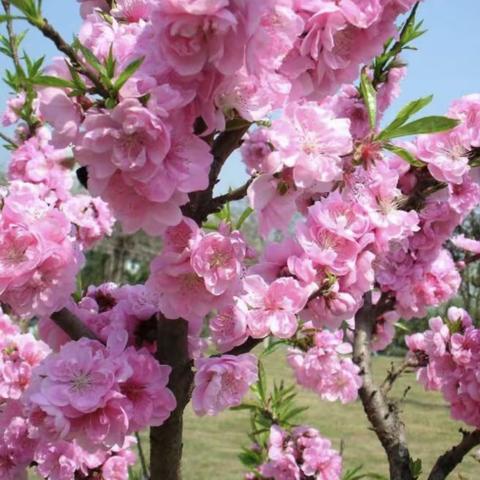 聆听语声的简篇