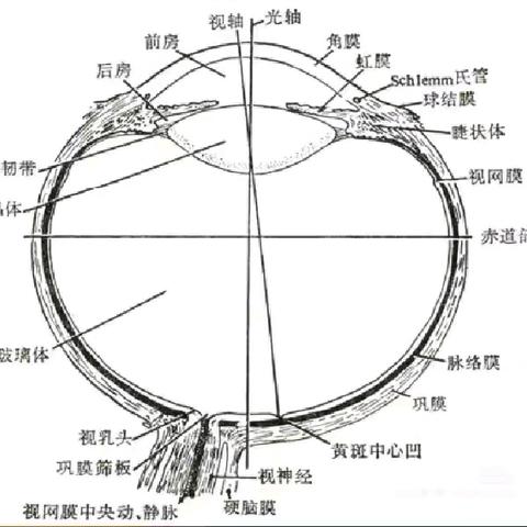 “看眼”识颅压，超声经眶无创、快速评估颅内高压