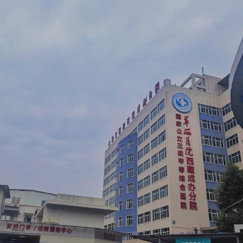 2024年四川省人民医院护理专科联盟（血液净化）业务指导——西藏驻成都办事处医院。