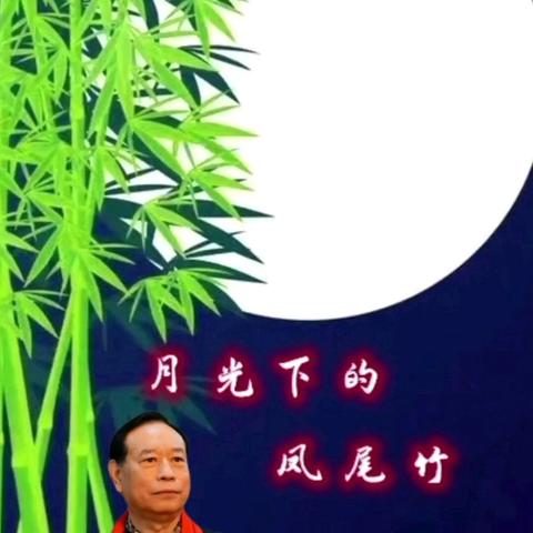 月光下的凤尾竹