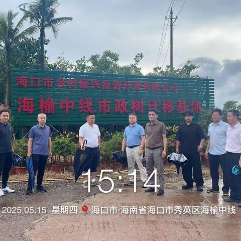 深入苗圃基地调研 做好迁移树木移交接管工作