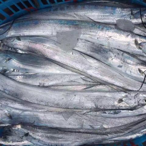 买小海鲜就到万家福 渔船专供  新鲜日配 不但价格低  关键质量好