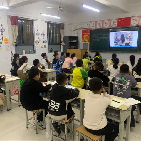 新宇小学生一周日志