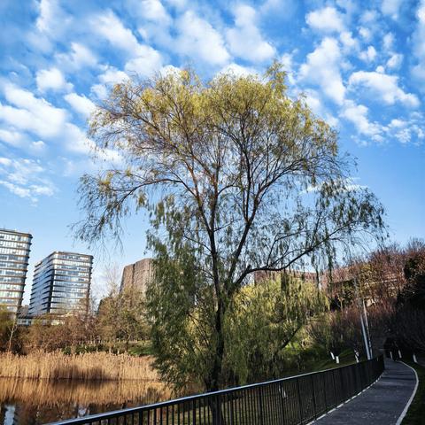 南京的冬天