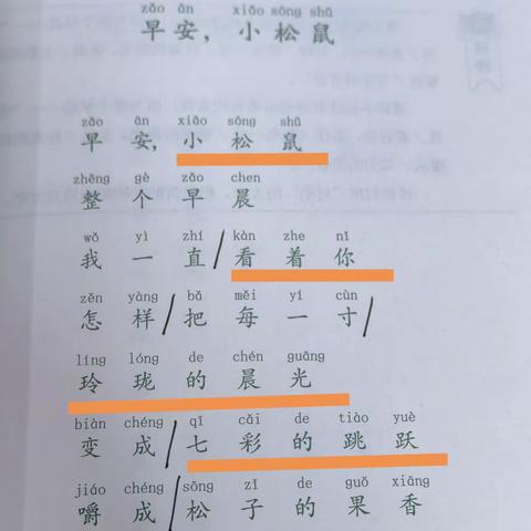 晨读美文小练笔---《早安，小松鼠》