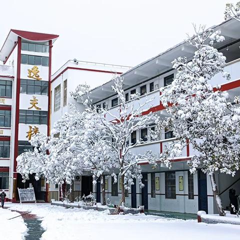 平安校园 | 一场雪 一群人 一条心——向阳路小学清扫积雪活动纪实