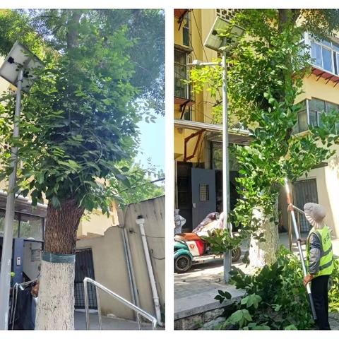 网格员化身“护路先锋”！精准出击守护社区光明与安全