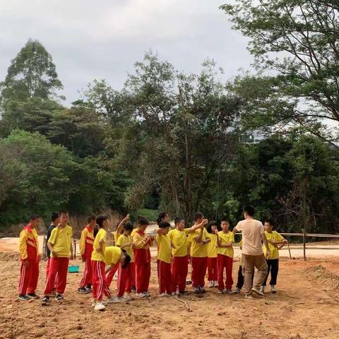 周五自然科学劳动实践活动
