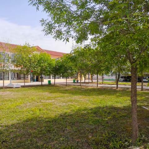 我很“小”，却一身傲骨屹立不倒---农村小学纪实篇