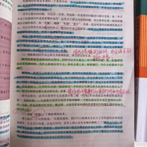 蒙阳新星学校四年级组语文教师过程材料督察