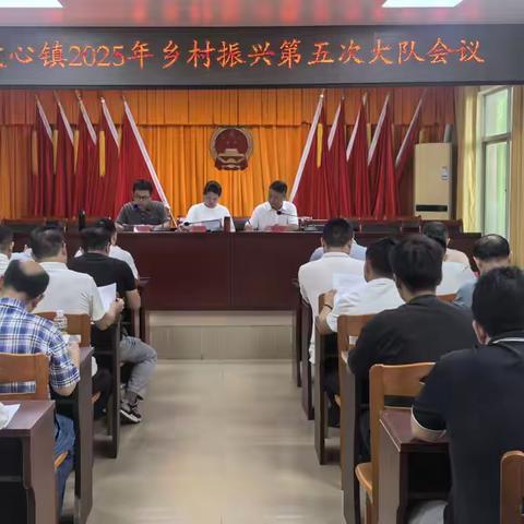 坡心镇召开2025年第五次乡村振兴大队会议