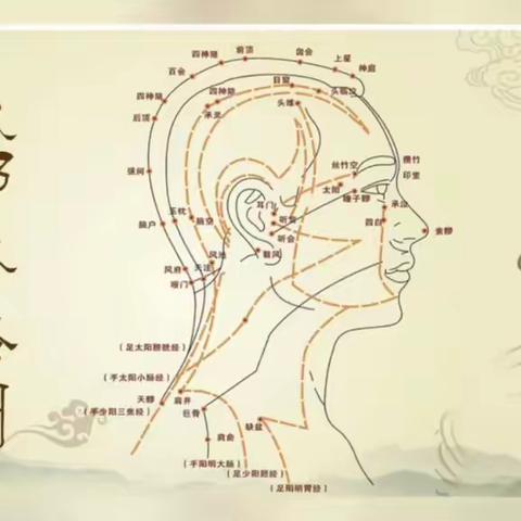 头部健康的重要性！磁万嘉磁能休闲帽呵护健康，从头做起