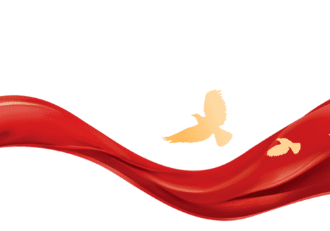 党建引领促教研，深耕细作待花开