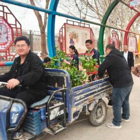 党建引领添新绿，博雅精神润心田