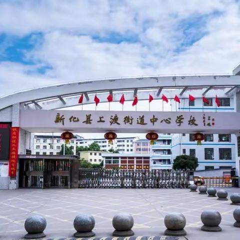 薪火相传育桃李，守正创新谱新篇——新化县2025年历史学科八年级新教材及配套资源使用研讨会