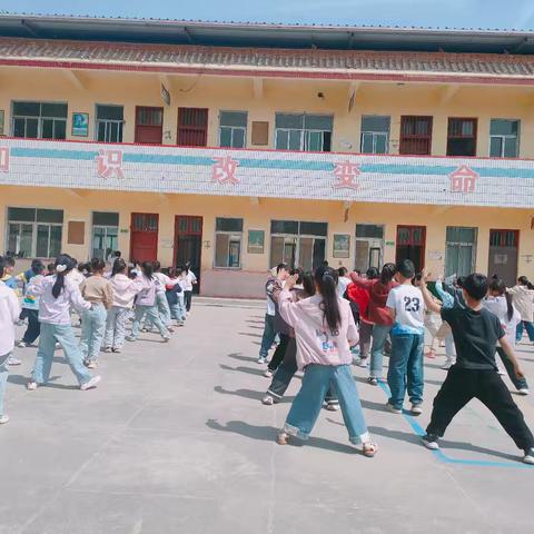 用爱浇灌成长，用心守护日常——前席小学一周生活纪实