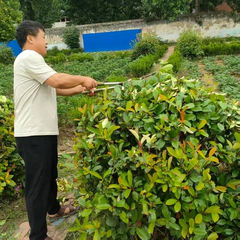耕耘守初心，暖心伴成长——前席小学一周生活纪实
