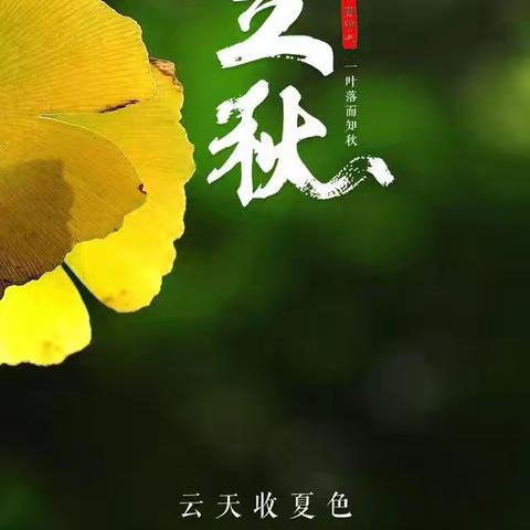 云天收夏色    木叶动秋声                                      ——锦龙学子迎秋啦