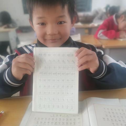 写字活动能够培养学生正确书写汉字的能力，养成良好的写字习惯，具备熟练的写字技能，激发学生热爱祖国语言文字的情感，提高审美能力和欣赏水平，张扬学生个性，促进学生全面和谐的发展。